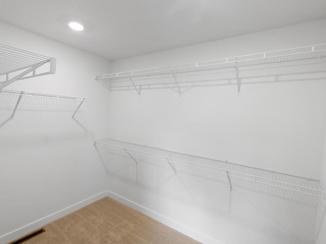 walk in closet featuring carpet flooring