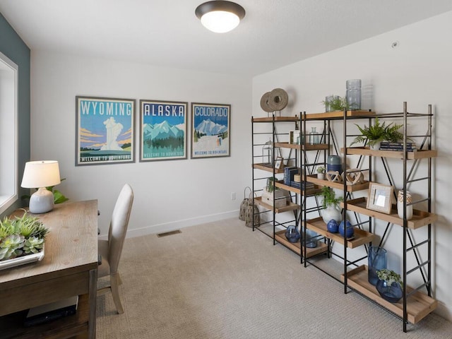 13609 Hollybrook Dr, Apple Valley, MN 55124 - office space featuring carpet and baseboards