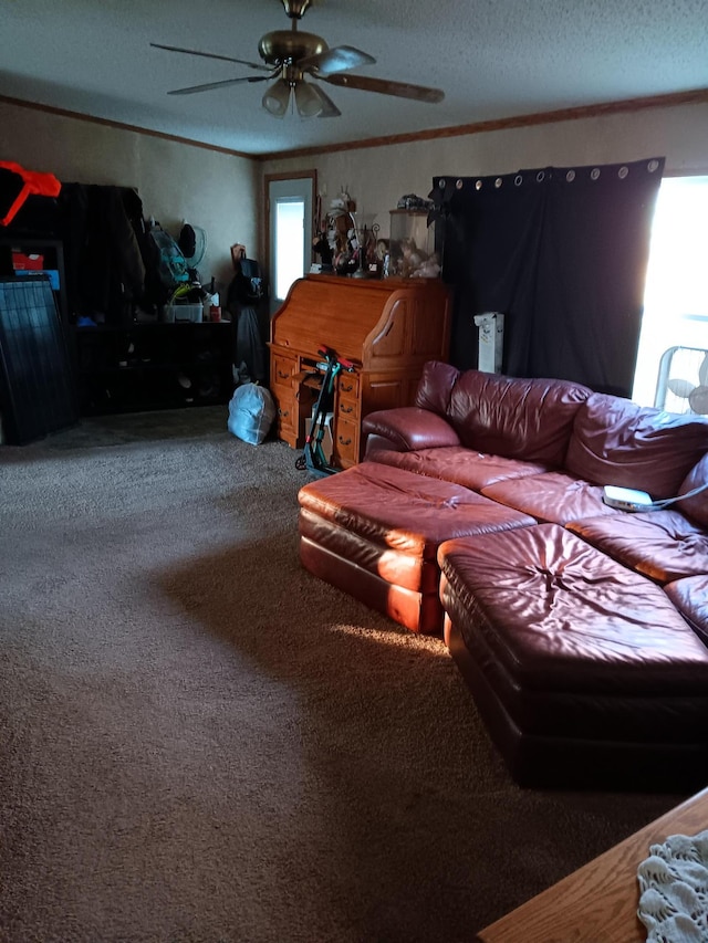 50604 Evergreen Ct, Nessel Twp, MN 55069 - photo 3
