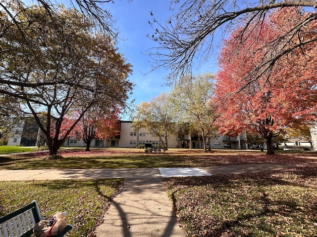 view of community featuring a yard