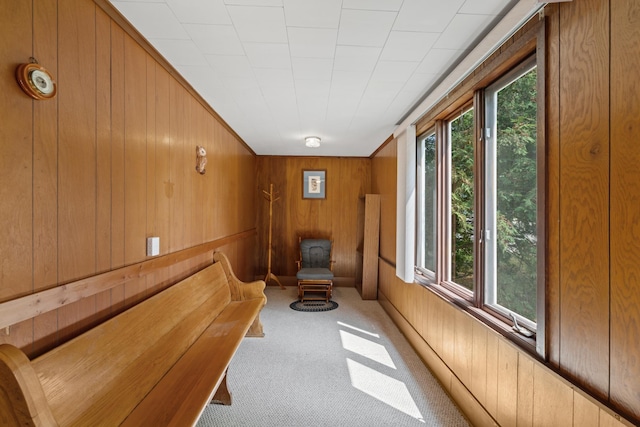 interior space featuring light carpet and wood walls