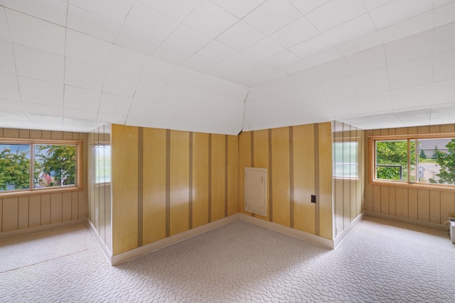 bonus room featuring light carpet, plenty of natural light, and wooden walls