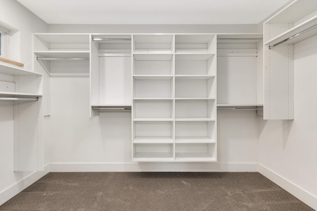 walk in closet featuring dark colored carpet