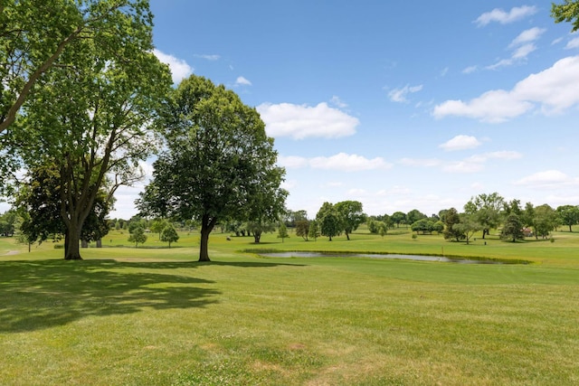 view of property's community with a yard