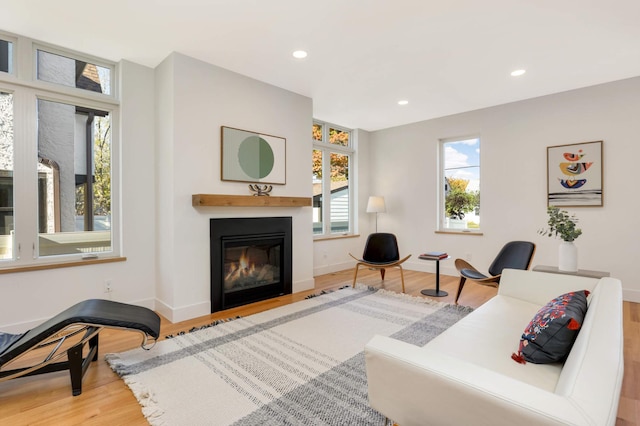 living room with hardwood / wood-style floors