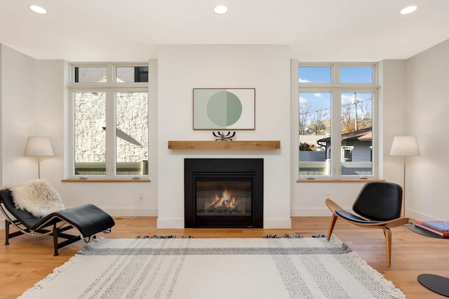 living area with light hardwood / wood-style flooring