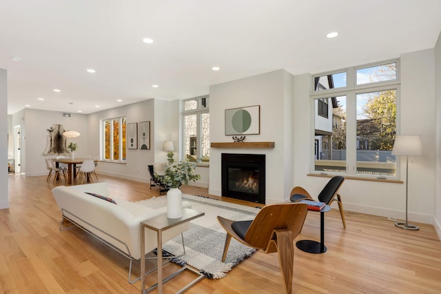 living room with light hardwood / wood-style floors