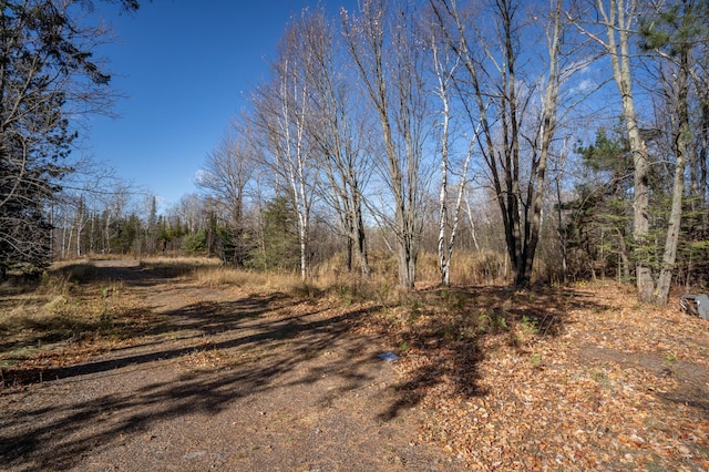 5241 Miller Trunk Hwy, Hermantown, MN 55811 - photo 12