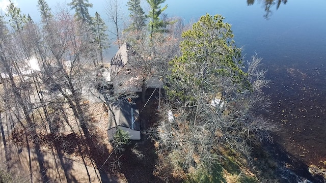 birds eye view of property featuring a forest view