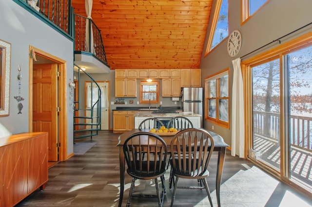 dining room featuring dark wood-type flooring and a high ceiling