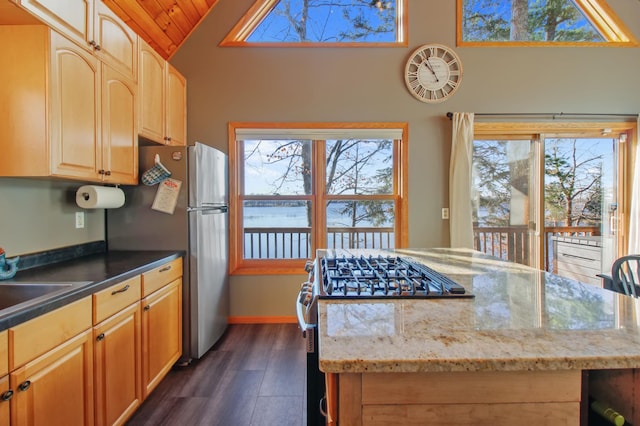 kitchen with a wealth of natural light, light stone countertops, dark wood-type flooring, and appliances with stainless steel finishes