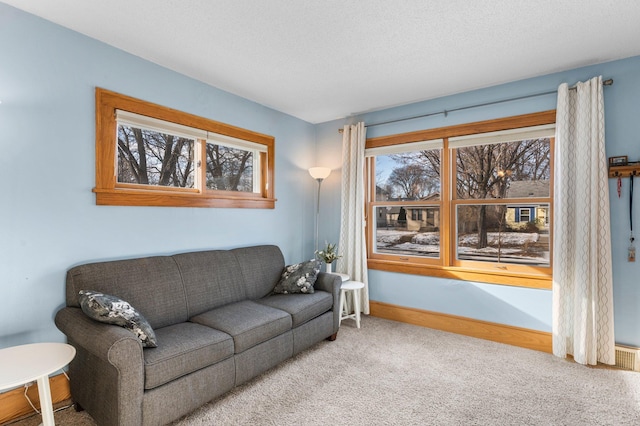 living room with carpet flooring and a textured ceiling