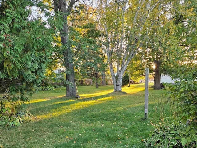 30 3rd St, Cohasset, MN 55721 - view of yard