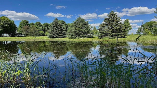 view of water feature