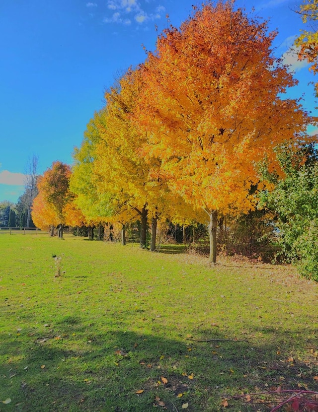 view of property's community with a lawn