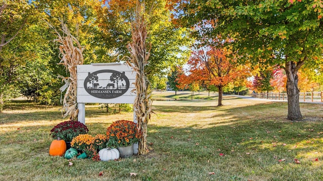 view of community with a yard