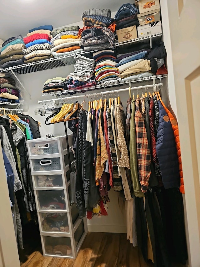 spacious closet featuring wood-type flooring