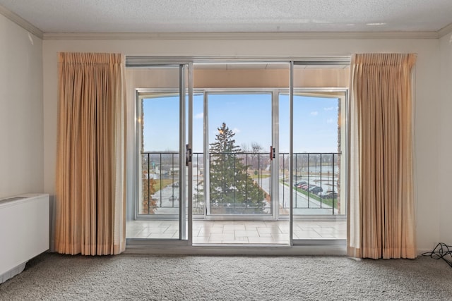 spare room featuring ornamental molding, carpet, a textured ceiling, and radiator