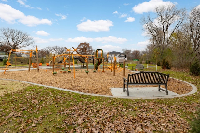 view of jungle gym