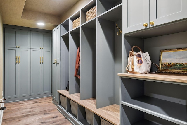 mudroom with light wood-type flooring