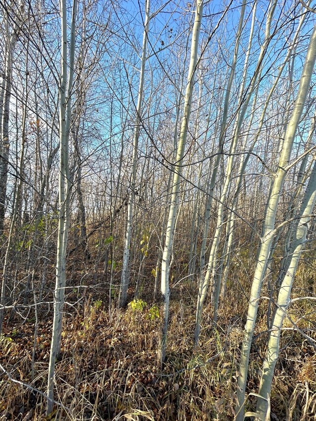36615 County Road 13, Warroad, MN 56756