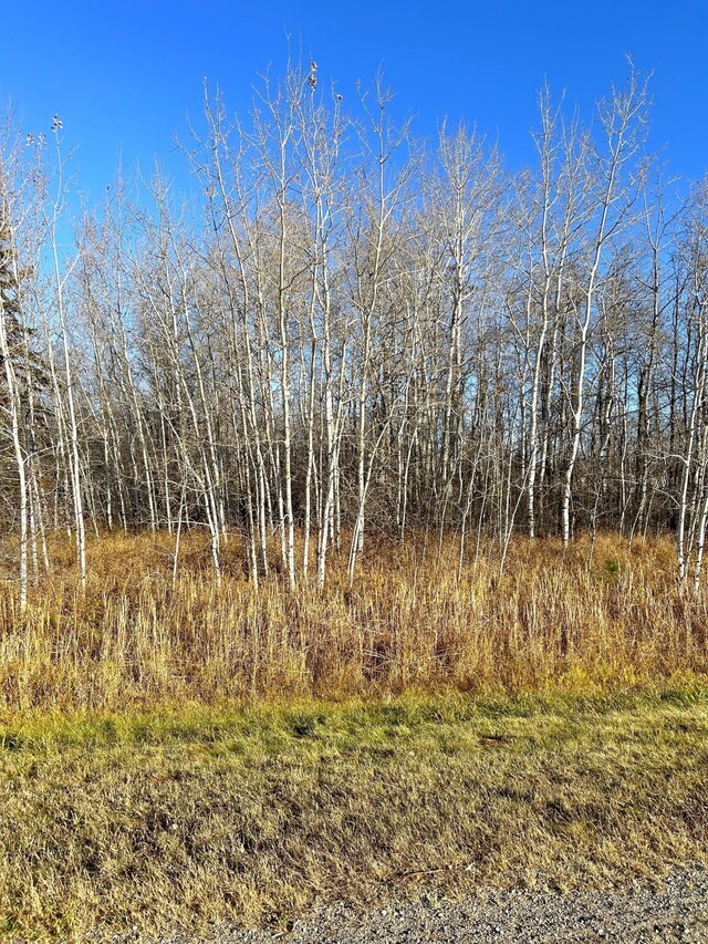 36615 County Road 13, Warroad, MN 56756