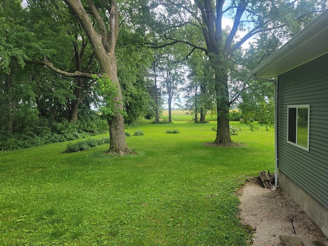 5330 500th St, Kenyon Twp, MN 55946 - view of green lawn