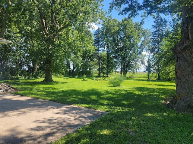 5330 500th St, Kenyon Twp, MN 55946 - view of green lawn