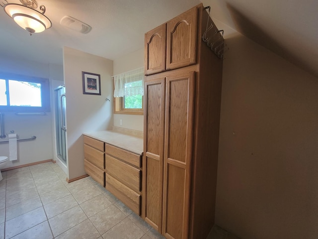 5330 500th St, Kenyon Twp, MN 55946 - full bathroom with plenty of natural light, a shower stall, and tile patterned flooring