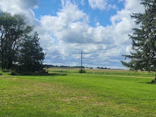 5330 500th St, Kenyon Twp, MN 55946 - view of green lawn with a view of rural / pastoral area