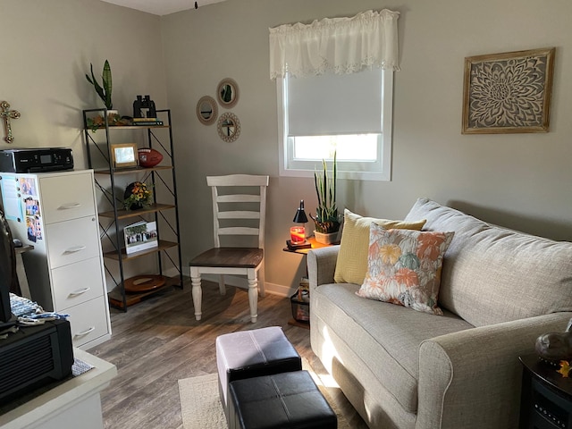 sitting room with dark hardwood / wood-style floors