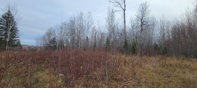 Listing photo 2 for TBD State Highway 1, Effie MN 56639