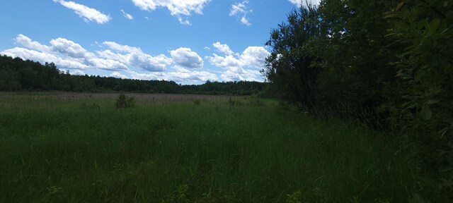 TBD State Highway 1, Effie, MN 56639 - photo 12