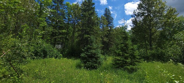 TBD State Highway 1, Effie, MN 56639 - photo 1