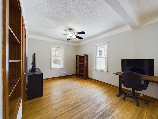 office space featuring light hardwood / wood-style flooring, a textured ceiling, and a wealth of natural light