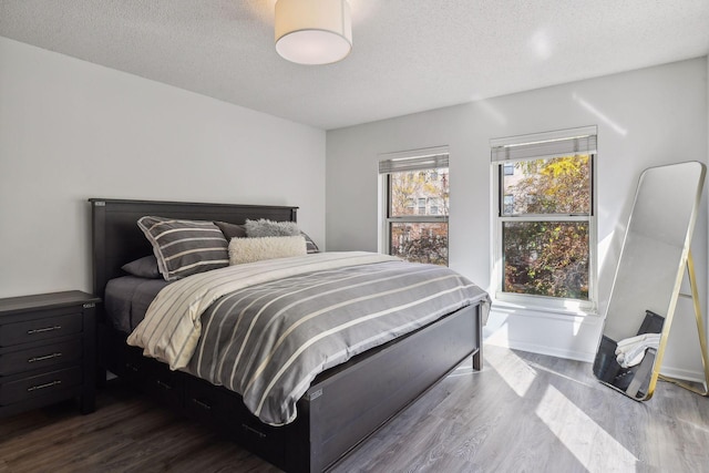 bedroom featuring multiple windows, wood-type flooring, and a textured ceiling