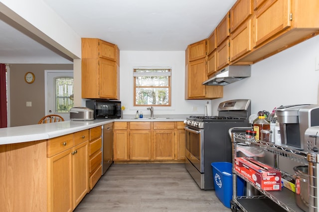 kitchen featuring kitchen peninsula, stainless steel appliances, light hardwood / wood-style flooring, and sink