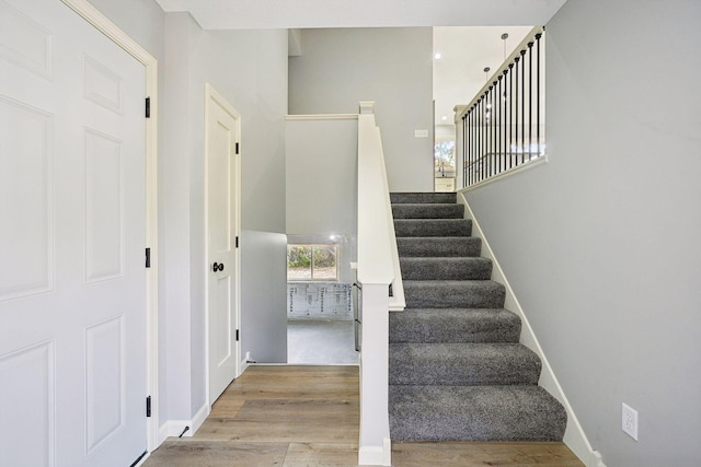 staircase featuring wood-type flooring