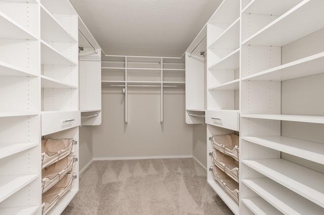 spacious closet with carpet