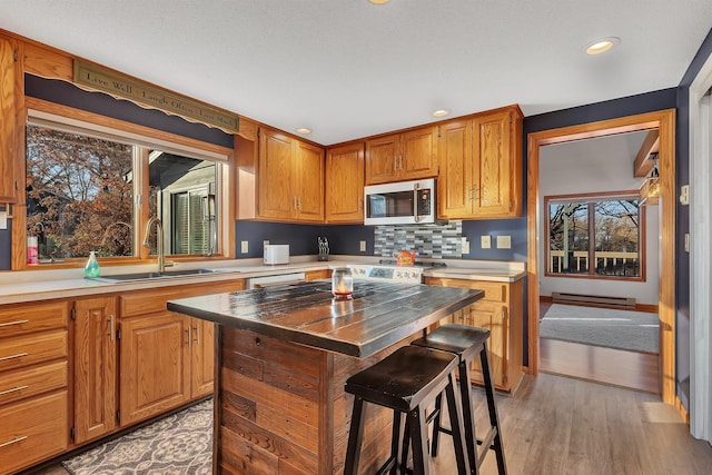 16568 Maplewood Rd, Wakefield Twp, MN 56320 - kitchen featuring stainless steel microwave, a sink, baseboard heating, brown cabinetry, and light wood-type flooring
