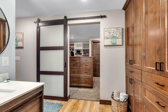 bathroom with hardwood / wood-style floors and vanity