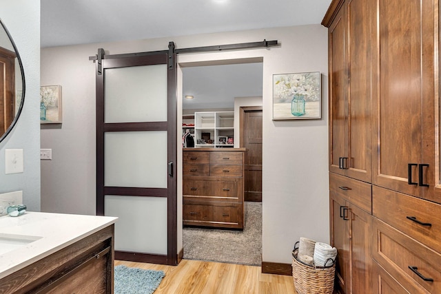 16568 Maplewood Rd, Wakefield Twp, MN 56320 - full bathroom featuring wood finished floors, vanity, and a walk in closet