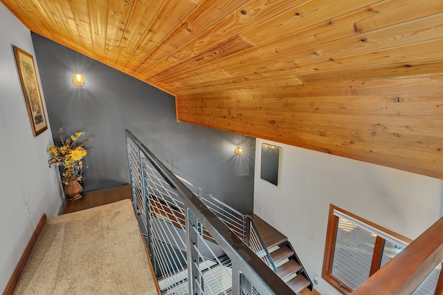 16568 Maplewood Rd, Wakefield Twp, MN 56320 - stairway with wooden ceiling, carpet floors, and baseboards
