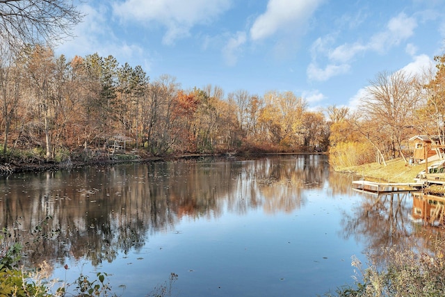 16568 Maplewood Rd, Wakefield Twp, MN 56320 - water view with a heavily wooded area