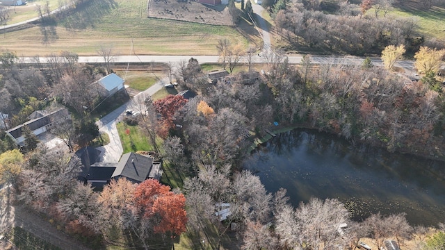 16568 Maplewood Rd, Wakefield Twp, MN 56320 - aerial view of property's location featuring a large body of water and rural landscape