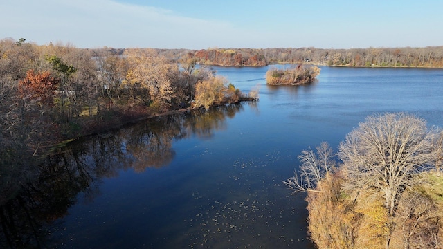 16568 Maplewood Rd, Wakefield Twp, MN 56320 - water view with a forest