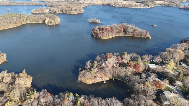 16568 Maplewood Rd, Wakefield Twp, MN 56320 - aerial overview of property's location with a large body of water and a heavily wooded area