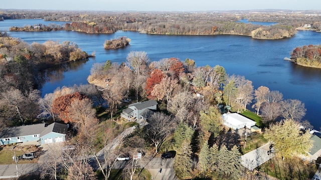 16568 Maplewood Rd, Wakefield Twp, MN 56320 - view of property location with a heavily wooded area and a nearby body of water