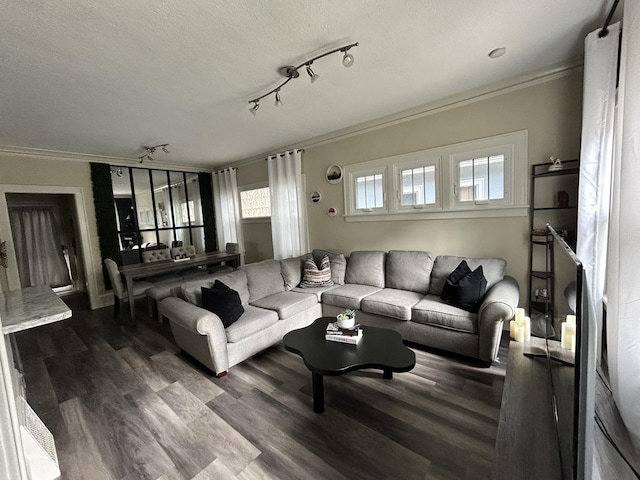 living room featuring dark hardwood / wood-style floors, ornamental molding, and a textured ceiling