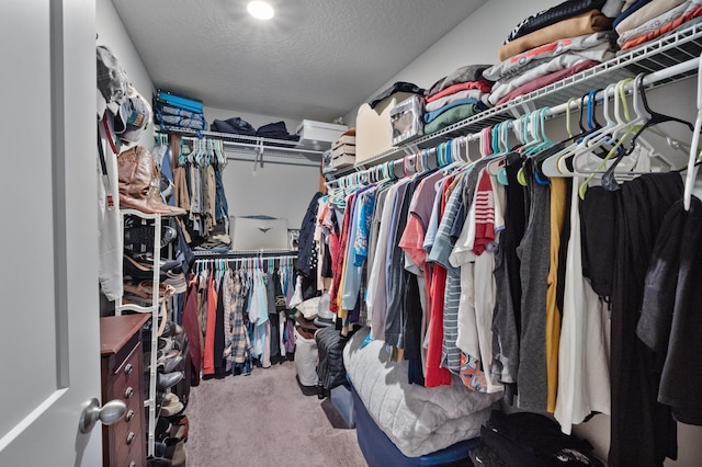 spacious closet with carpet flooring